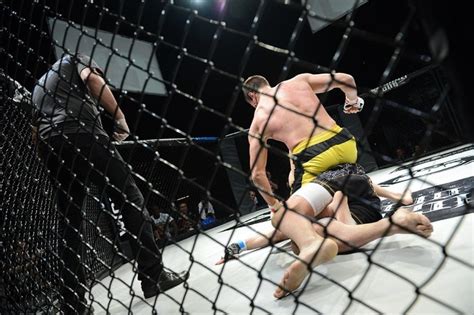 wedden op mma